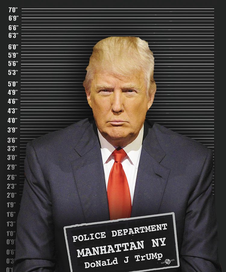 Trump mugshot